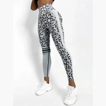 Load image into Gallery viewer, Grey Triumph Leggings | Daniki Limited
