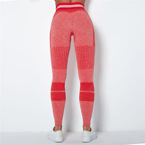 Red/Pink Stripe Band Leggings | Daniki Limited