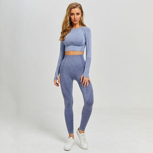 Gray and Blue Seamless Long Sleeve Fitness Set | Daniki Limited