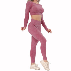 Pink Seamless Long Sleeve Fitness Set | Daniki Limited